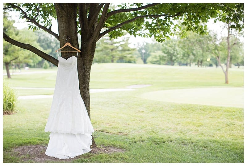 Wedding Dress Hanging on Tree