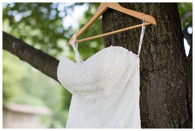 Wedding Dress Hanging on Tree