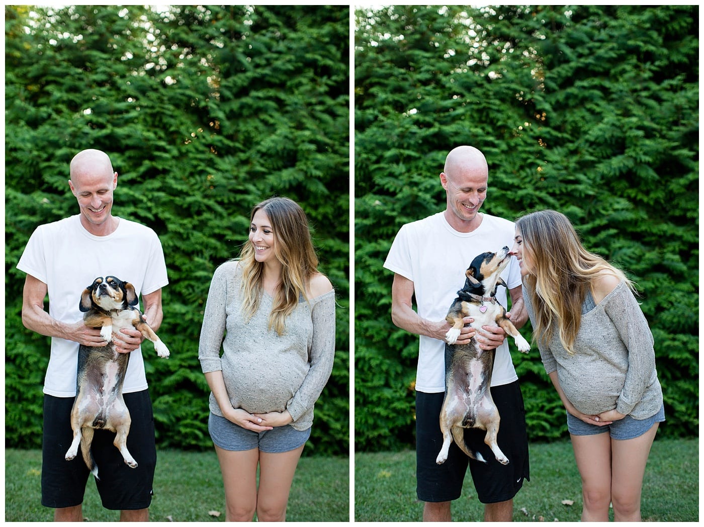 maternity photos including dogs