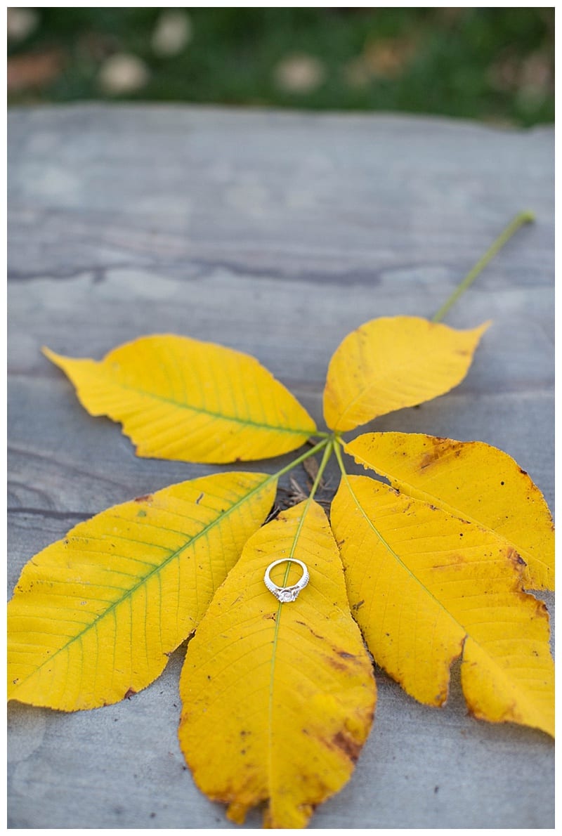 lake-of-the-woods-engagement-session-photos_0131
