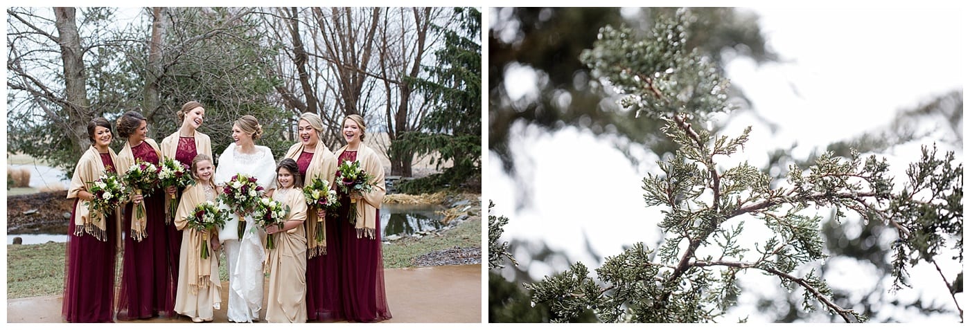winter-wedding-pear-tree-estates-ebby-l-photography-photos_4023